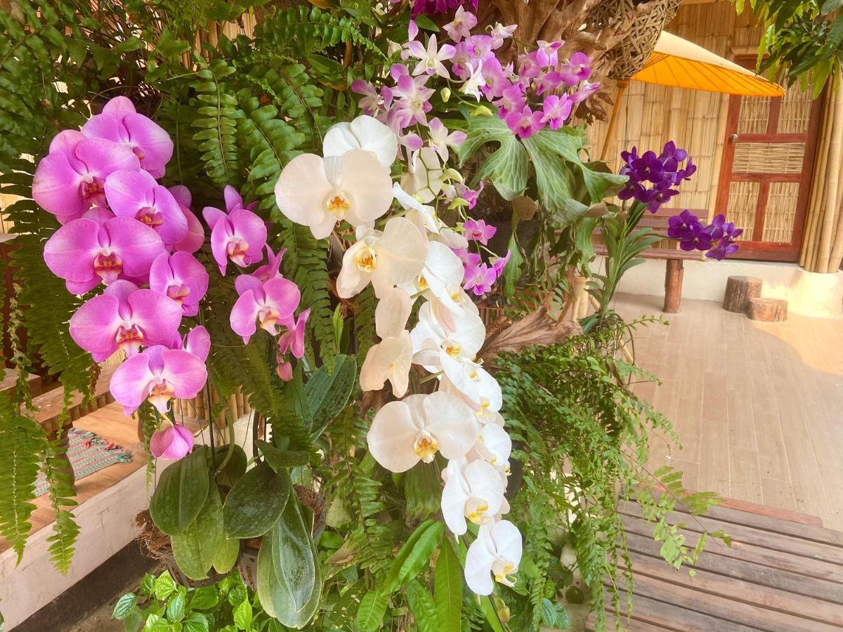 Ban Rai Jai Chaem - Spa Cafe & Homestay Ngoại thất bức ảnh